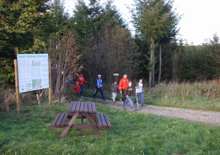 schoenberg nordic walking 06 c vv schoenberg 6