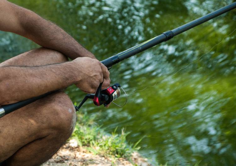 fisherman 1591841 c pixabay