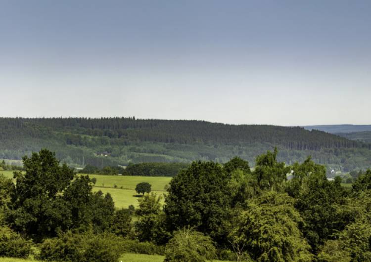 medell depertzberg panorama wolfsbusch 01 c christian charlier ostbelgien.eu