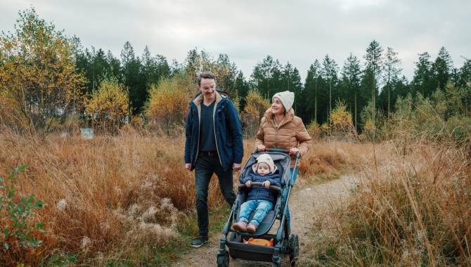 hohes venn botrange lehrpfad farben des venns 04 chris eyre walker