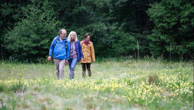 kelmis wandern 31 galmeibluete c oliver raatz interreg efre