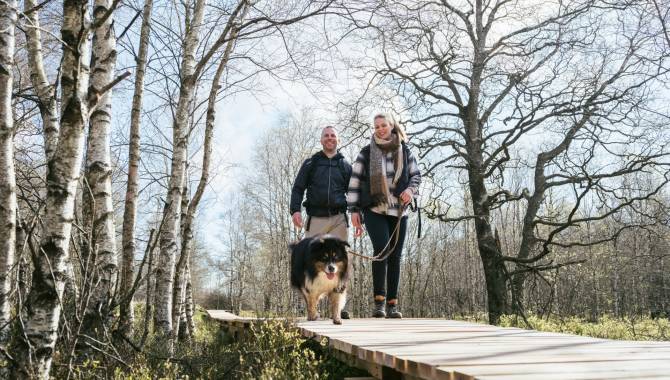 hohes venn polleur venn wandern hund 02 chris eyre walker