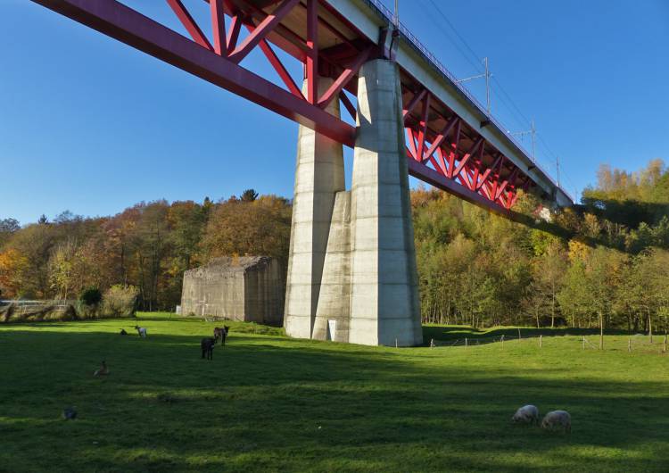 7 hergenrath hammerbruecke 01 c rolf malta