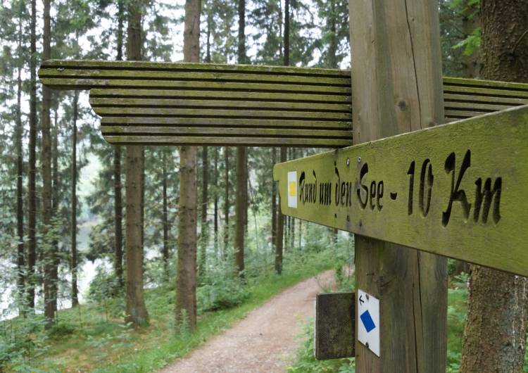 buetgenbach rund um den see 11 c ostbelgien.eu